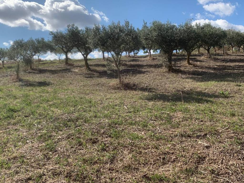 Rustico / casale a Valderice in Via Soria, 110 - Foto 3