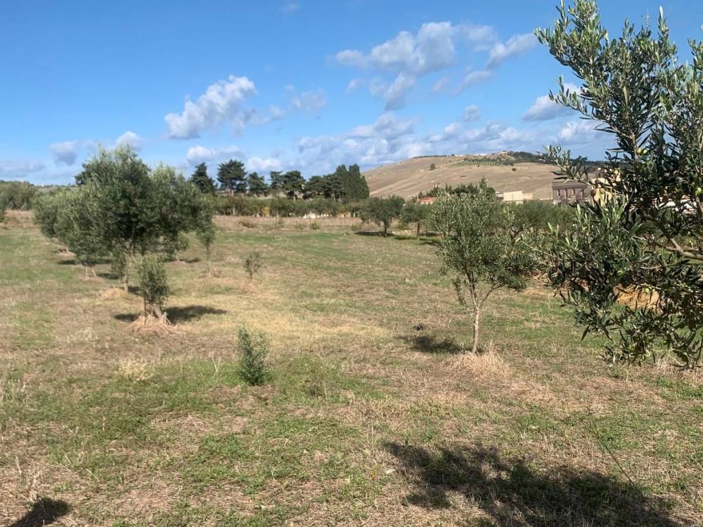 Rustico / casale a Valderice in Via Soria, 110 - Foto 4