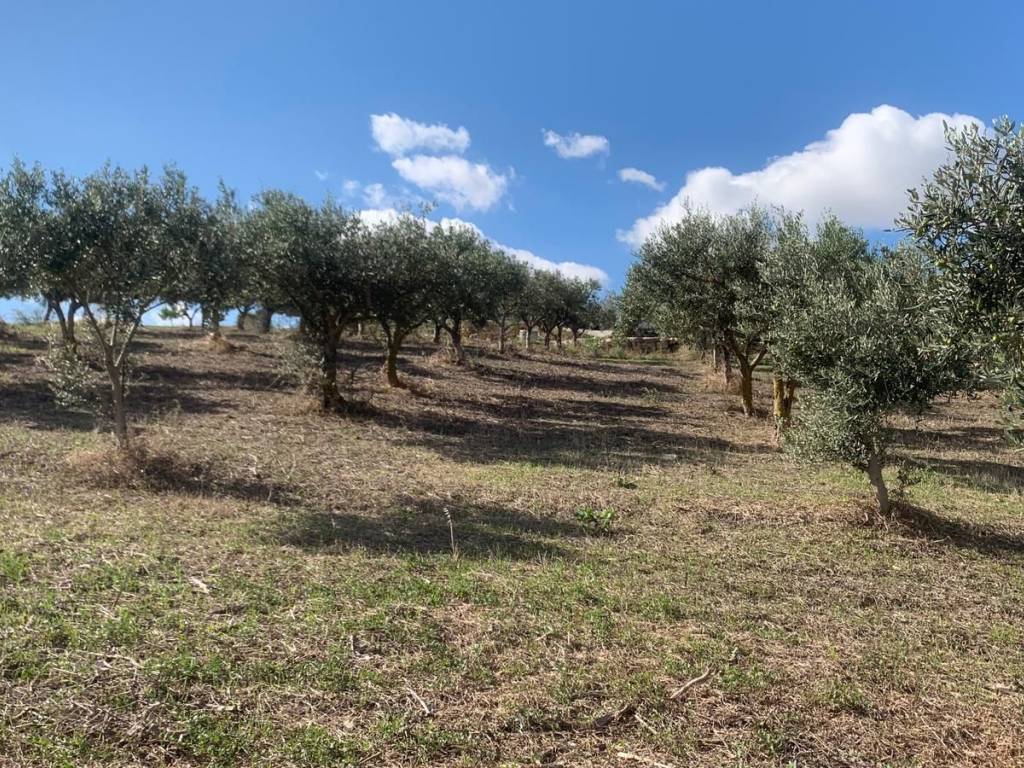 Rustico / casale a Valderice in Via Soria, 110 - Foto 5