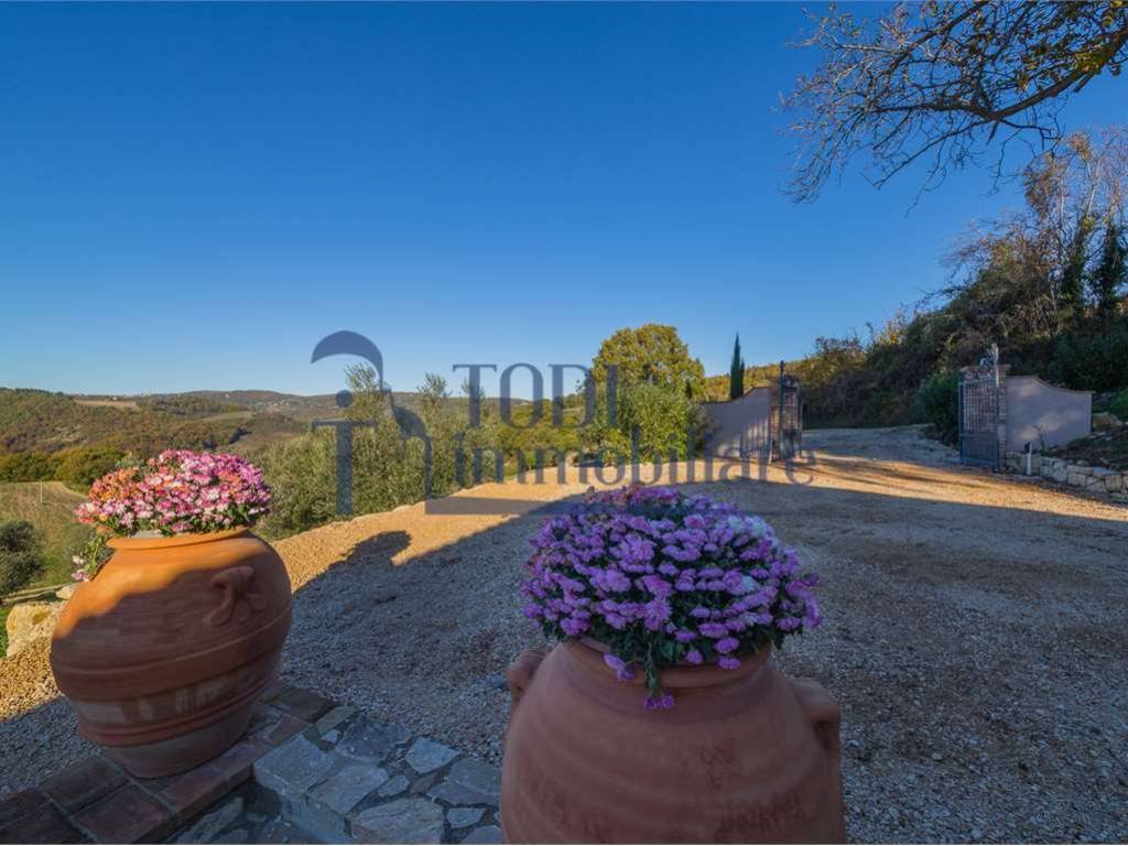 Rustico / casale a Amelia in Collicello - Foto 3