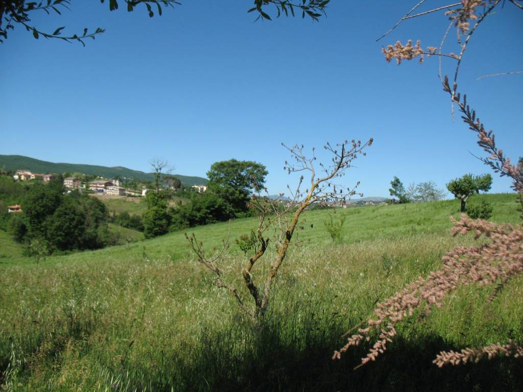 Terreno a Campobasso in via vigliardi - Foto 2