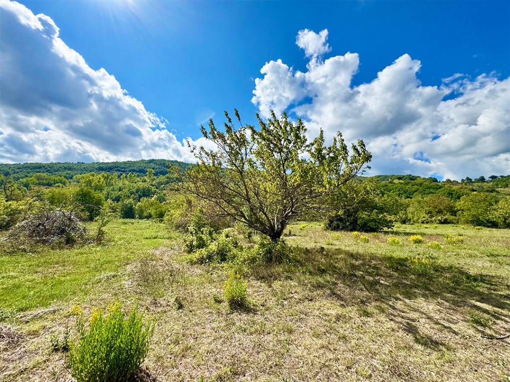 Terreno a Calvello in Via dell'Artigianato - Foto 4