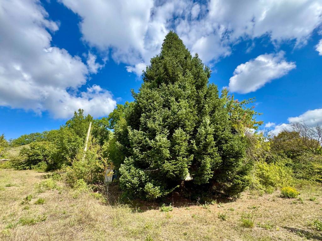 Terreno a Calvello in Via dell'Artigianato - Foto 5