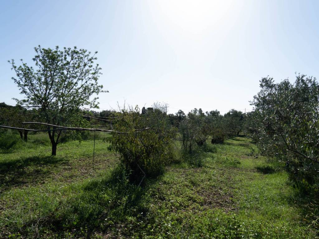Villa a San sperate - Foto 2