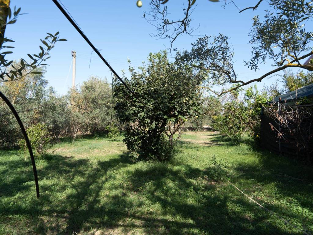 Villa a San sperate - Foto 3