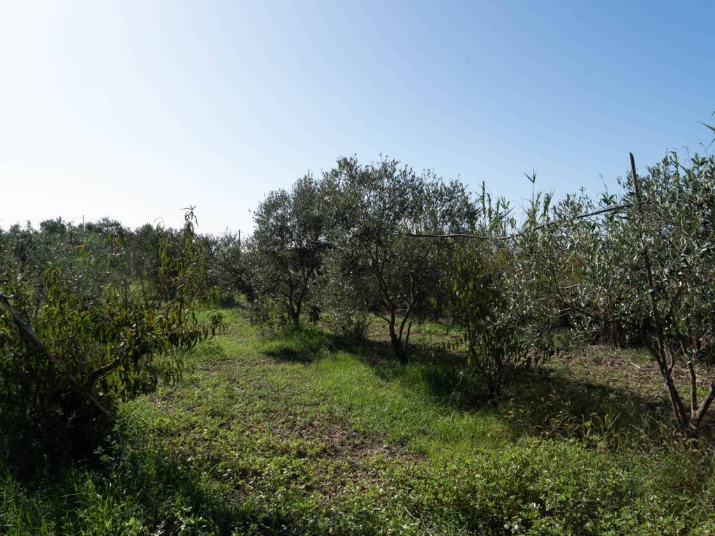 Villa a San sperate - Foto 4