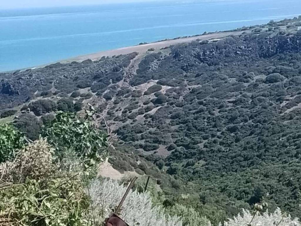 Rustico / casale a Castelsardo in Strada Statale Castelsardo - Foto 2