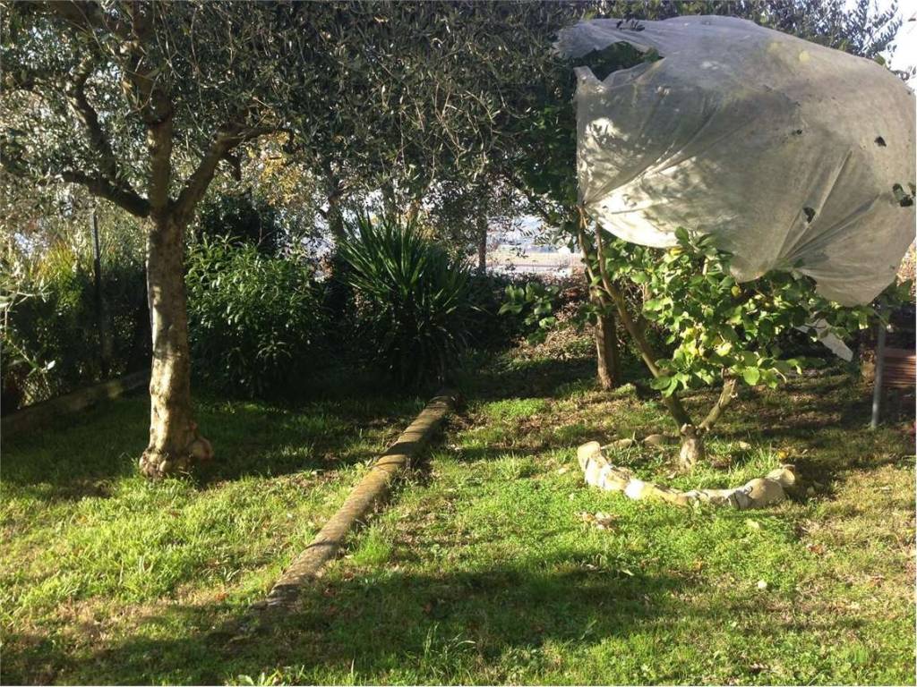 Villetta a schiera a Gradara - Foto 2