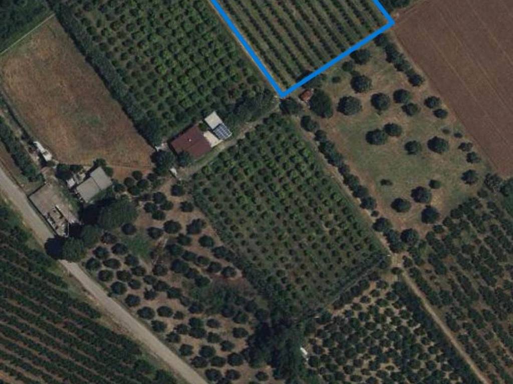 Terreno a Policoro - Foto 3