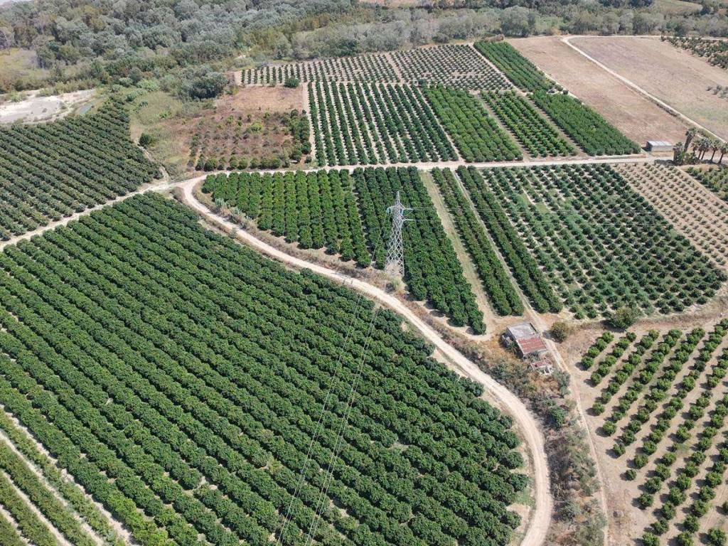 Terreno a Policoro - Foto 3