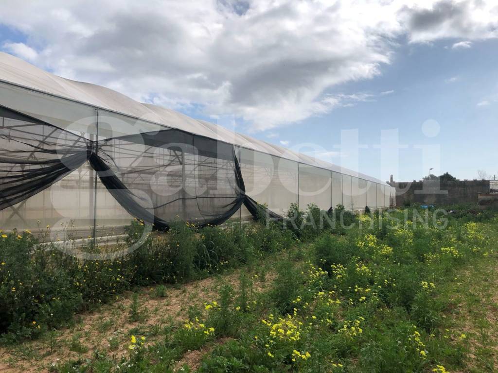 Terreno a Assemini - Foto 4