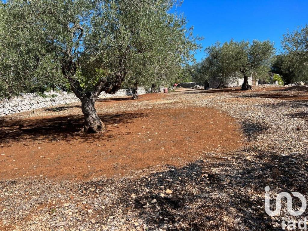 Villa a Cisternino in Strada masseria piccola - Foto 4