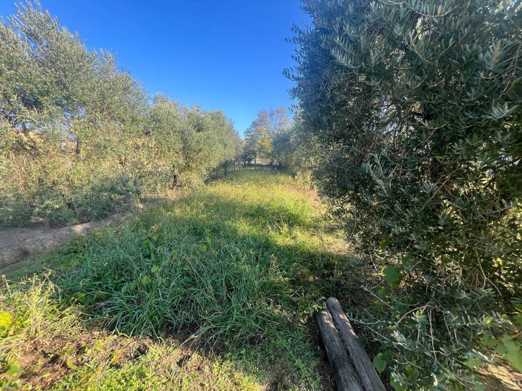 Terreno a Porcari in via romana, 175 - Foto 2