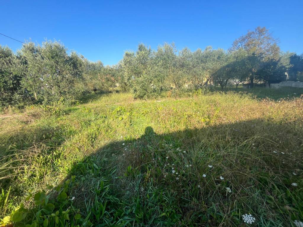 Terreno a Porcari in via romana, 175 - Foto 3