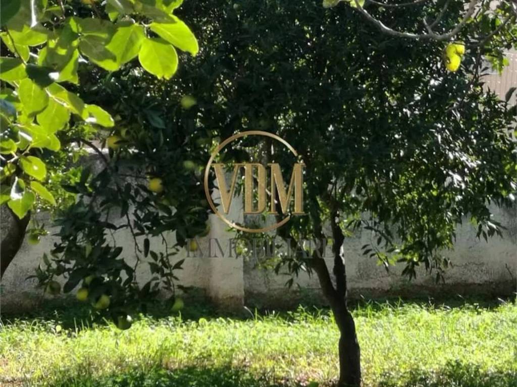 Villa a Marsala in Contrada Terrenove No Number - Foto 2