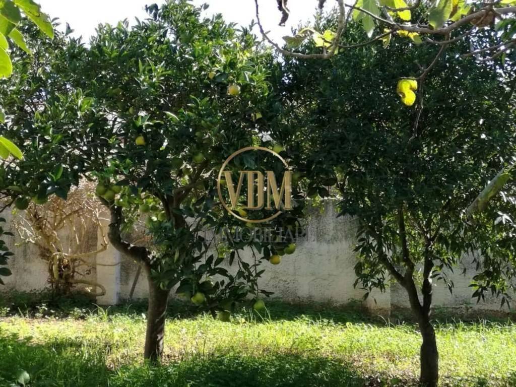 Villa a Marsala in Contrada Terrenove No Number - Foto 3