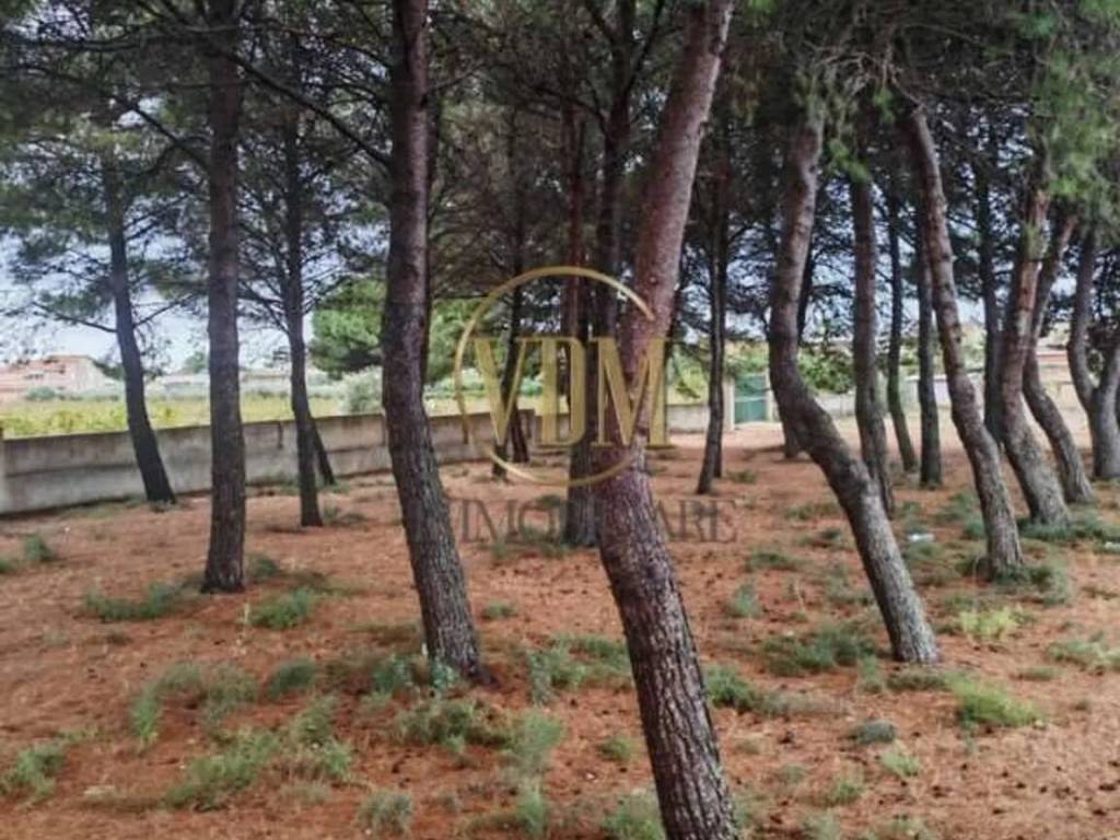 Villa a Marsala in Contrada Ponte Fiumarella No Number - Foto 5