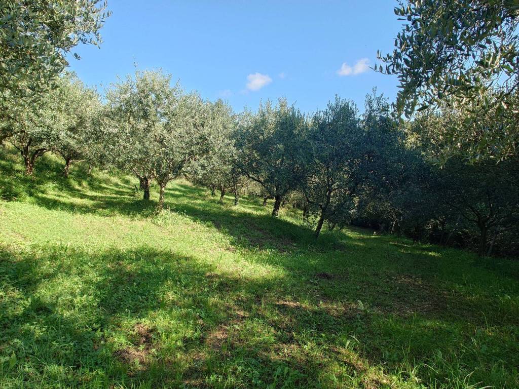 Terreno a Verona in Via Are Zovo - Foto 2
