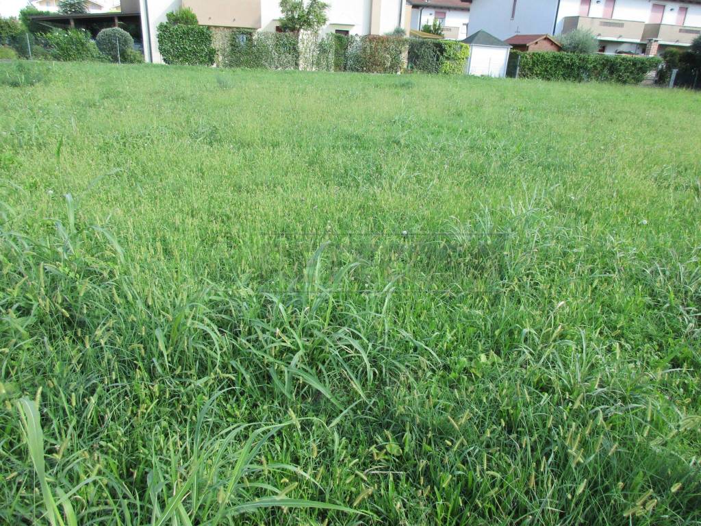 Terreno a Villanova di camposampiero - Foto 2