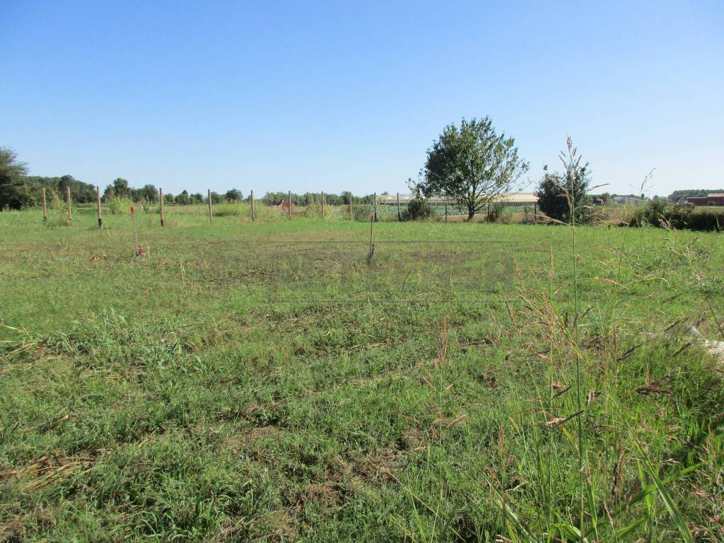 Terreno a Borgoricco - Foto 2