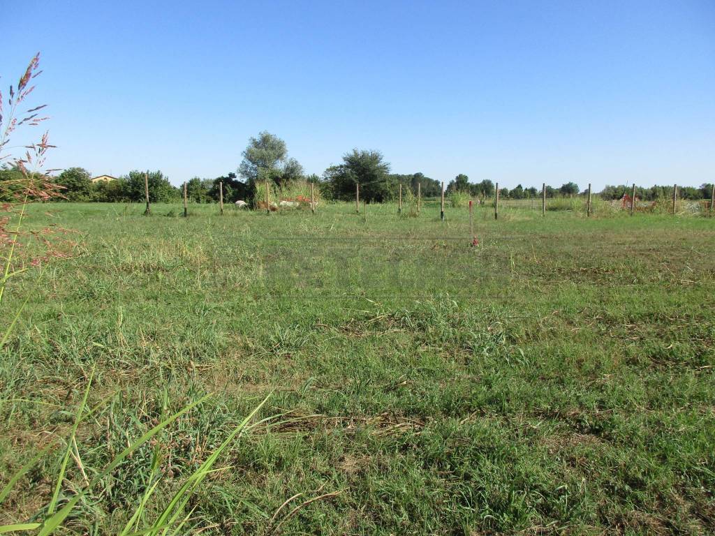 Terreno a Borgoricco - Foto 3