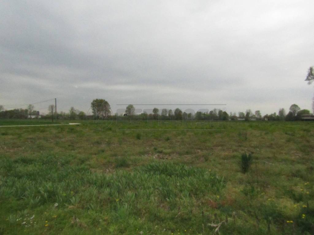Terreno a Santa giustina in colle - Foto 2