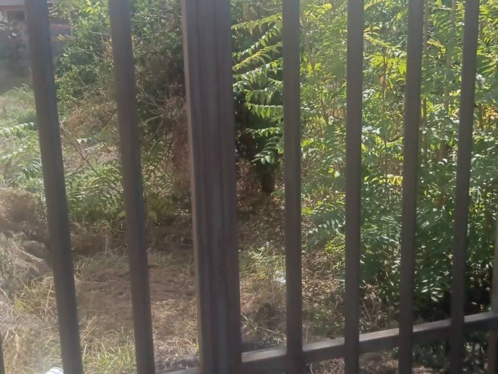 Rustico / casale a Giarre in Viale Don Luigi Sturzo, 138 - Foto 3