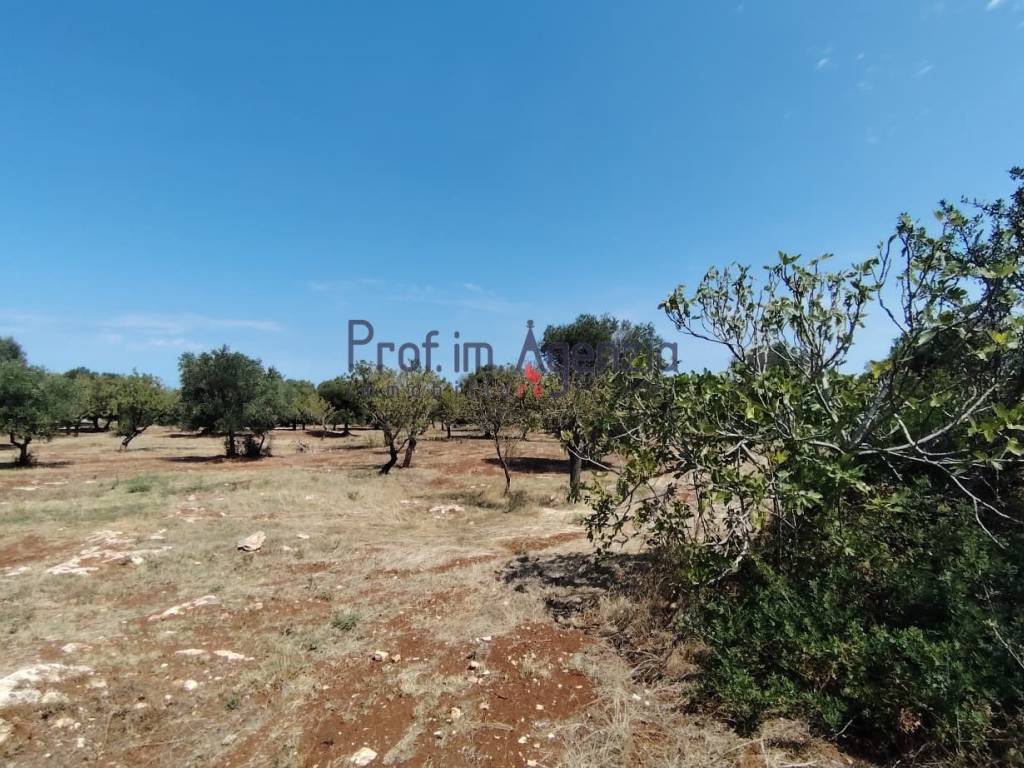 Terreno a Carovigno - Foto 2
