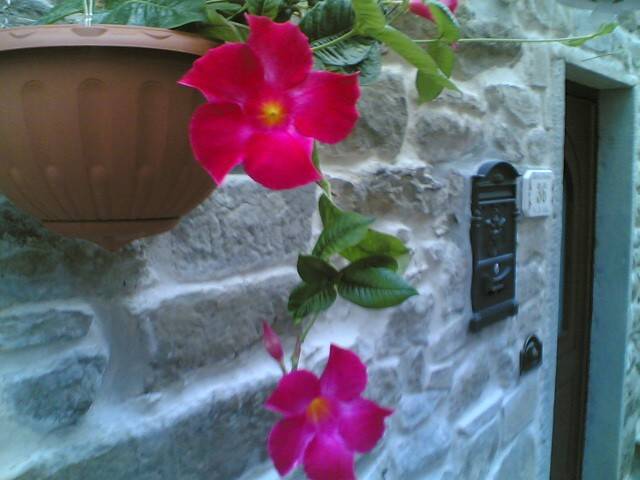 Casa indipendente a Montale - Foto 2