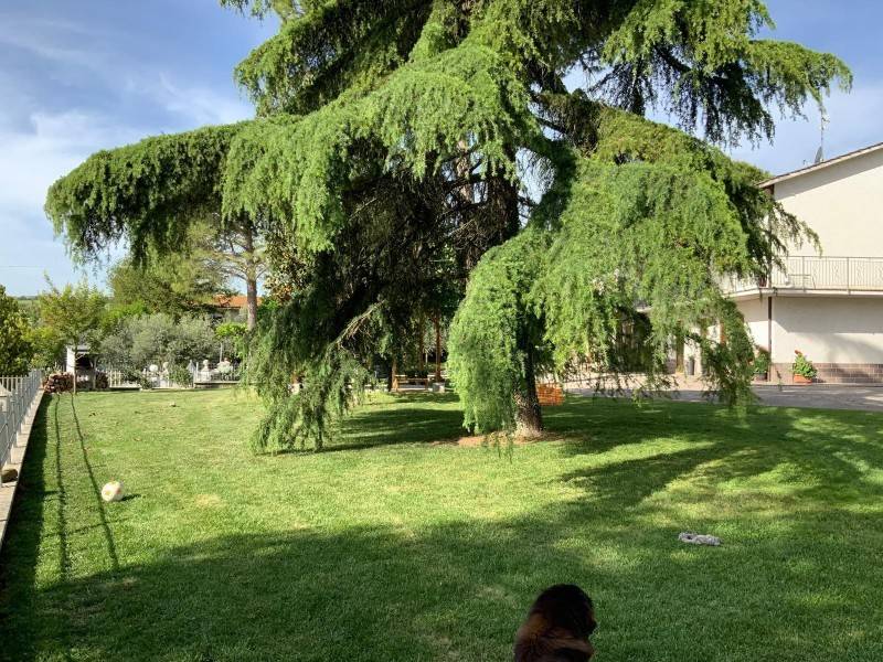 Villa a Jesi - Foto 5