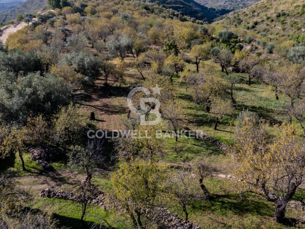 Terreno a Noto - Foto 5