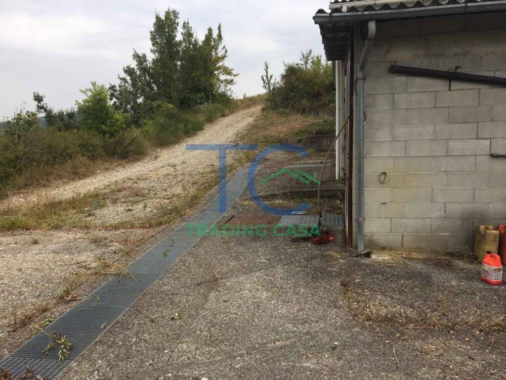 Rustico / casale a Travo in Località Spinello - Foto 3