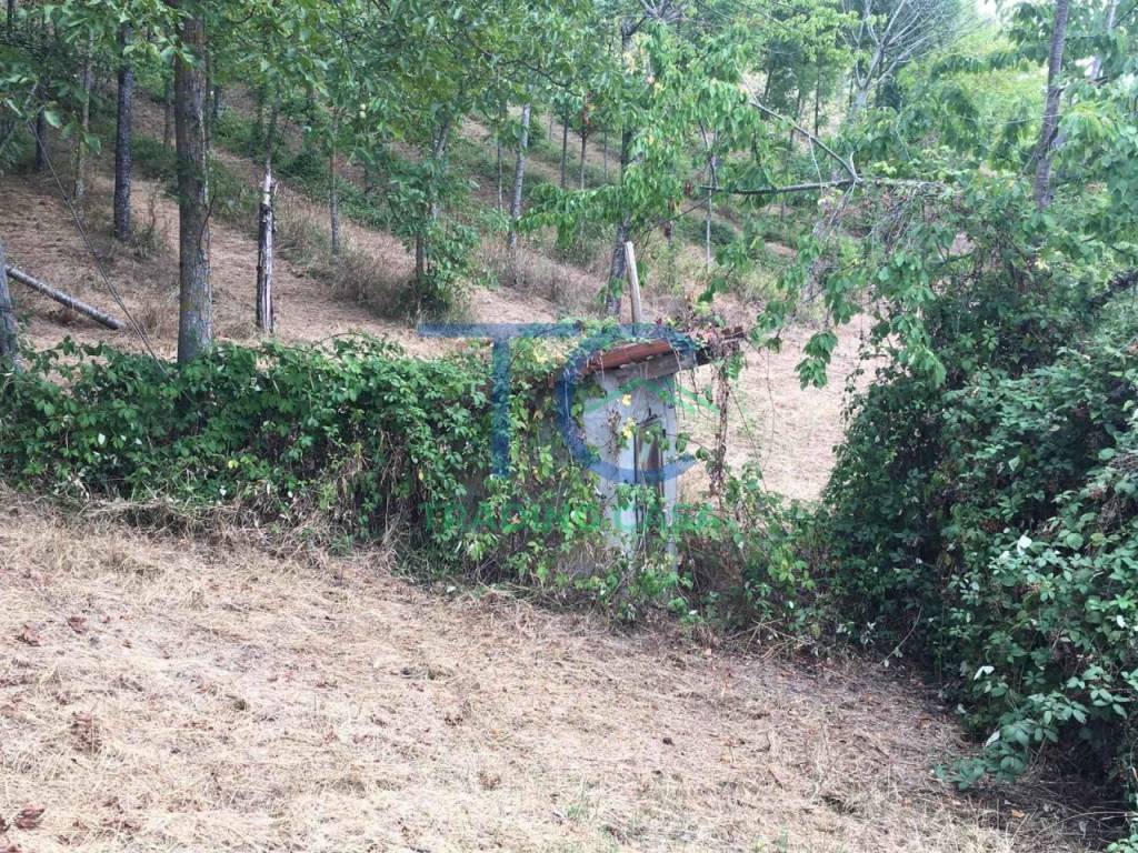 Rustico / casale a Travo in Località Spinello - Foto 4