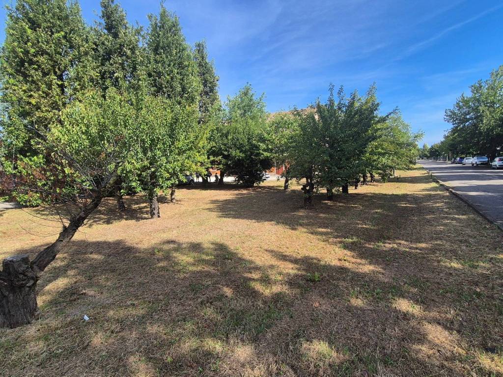 Rustico / casale a Bomporto - Foto 4