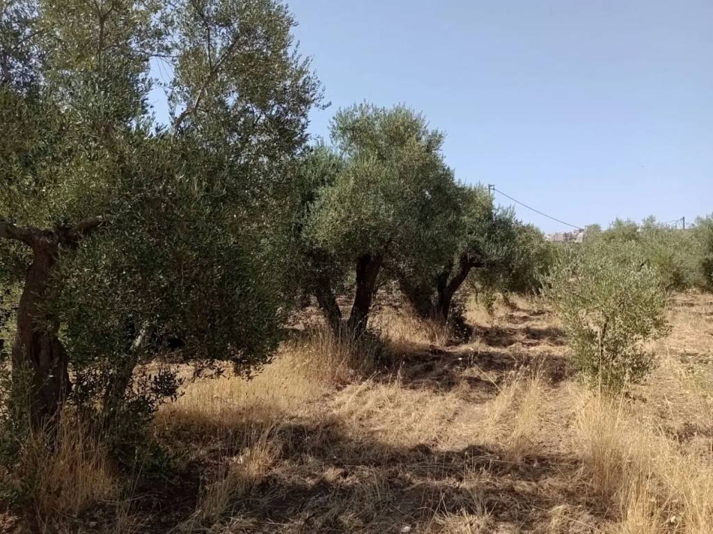 Terreno a Mottola in Viale Jonio, 36 - Foto 4