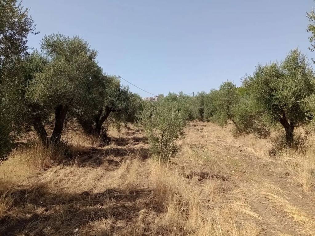 Terreno a Mottola in Viale Jonio, 36 - Foto 5