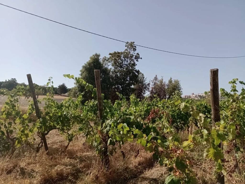 Terreno a Mottola in Sp29, 1 - Foto 3