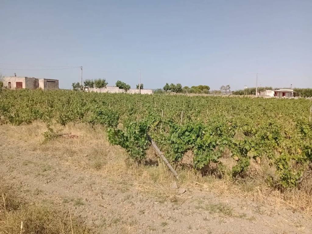 Terreno a Mottola in Sp29, 1 - Foto 5