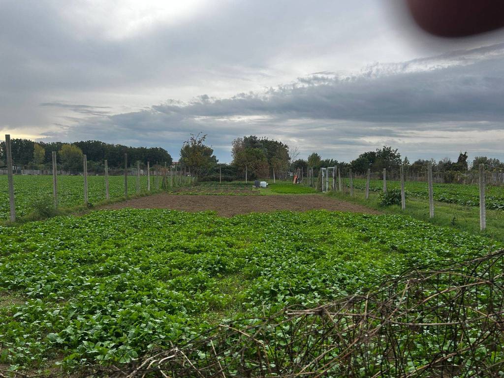 Terreno a Capodrise - Foto 3