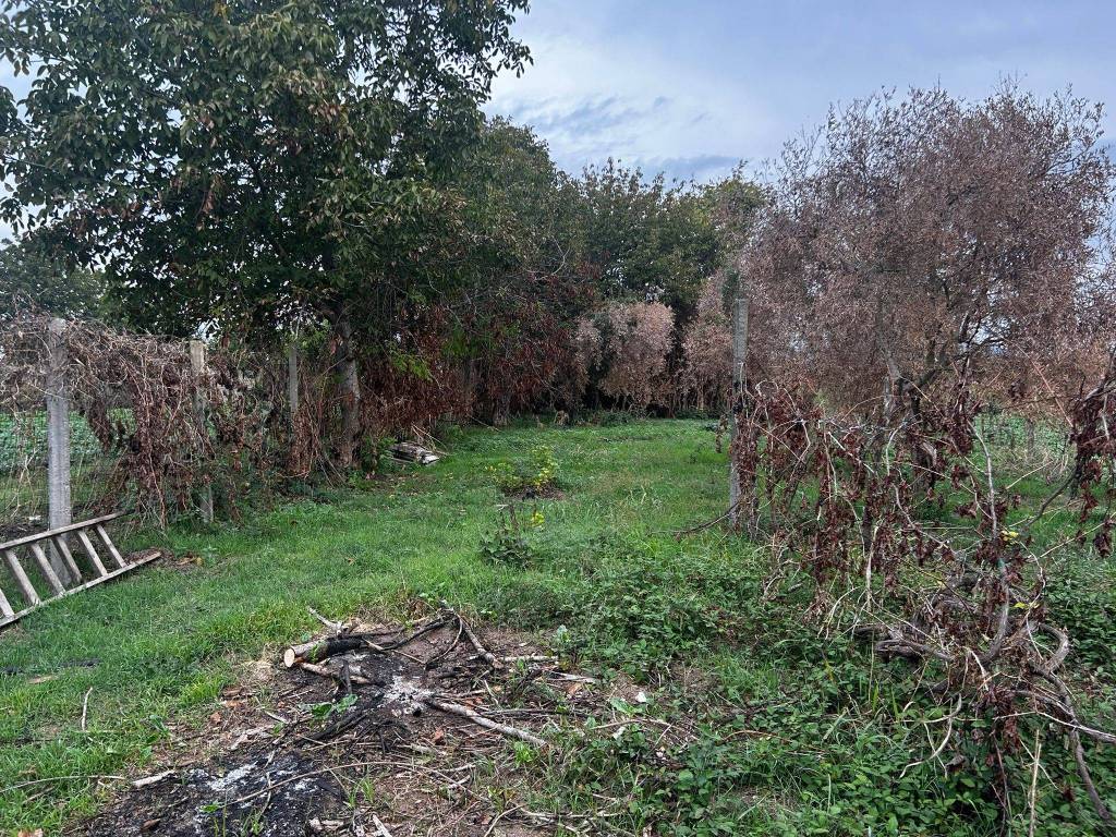 Terreno a Capodrise - Foto 5