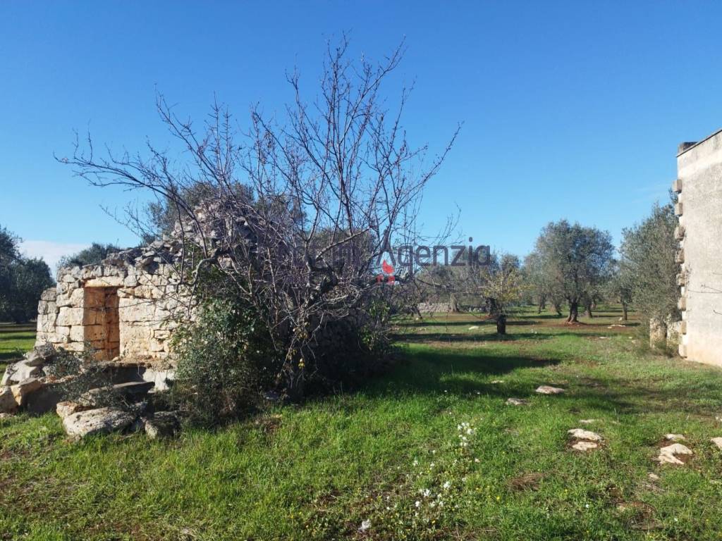 Rustico / casale a Latiano in Contrada Errico - Foto 3