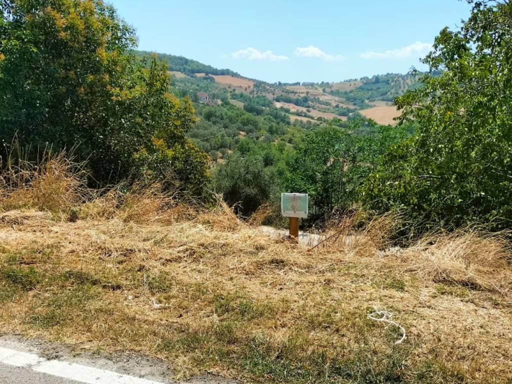 Terreno a Casoli in Contrada 4 da Capo - Foto 3