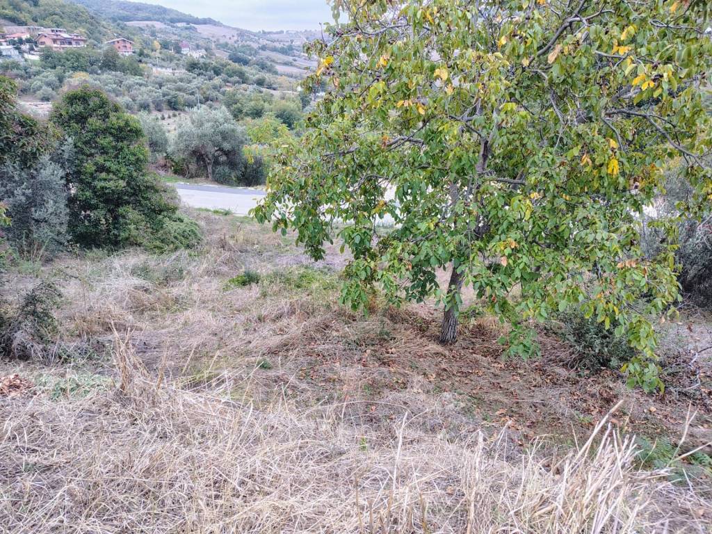 Terreno a Casoli in Contrada 4 da Capo - Foto 5