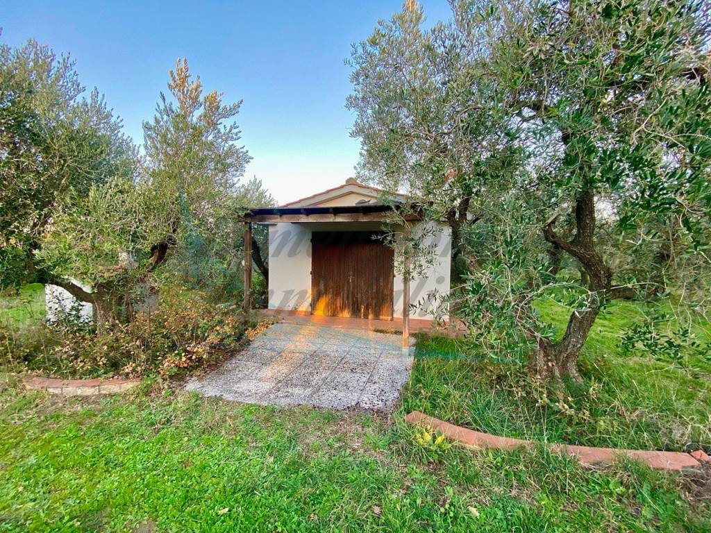 Terreno a Cecina in Via del Terminone - Foto 3