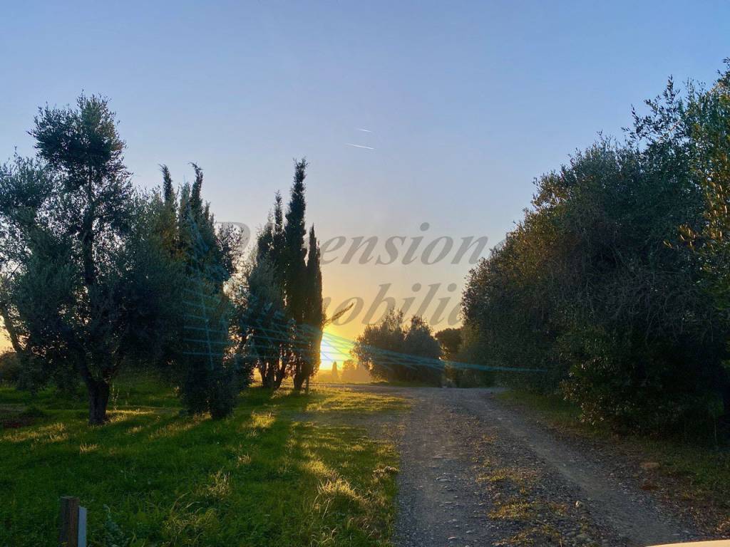 Terreno a Cecina in Via del Terminone - Foto 4