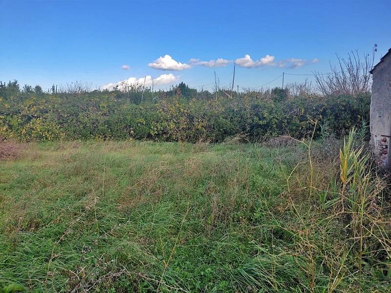 Terreno a Castagneto carducci in Via Aurelia - Foto 3