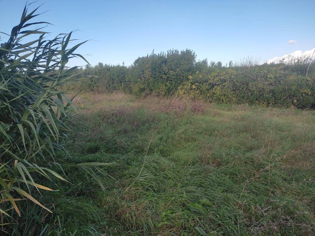 Terreno a Castagneto carducci in Via Aurelia - Foto 4