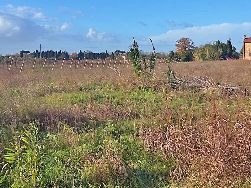 Terreno a Castagneto carducci in Via Aurelia - Foto 5