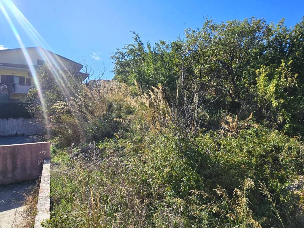 Terreno a Montepaone in Località Garigione - Foto 3