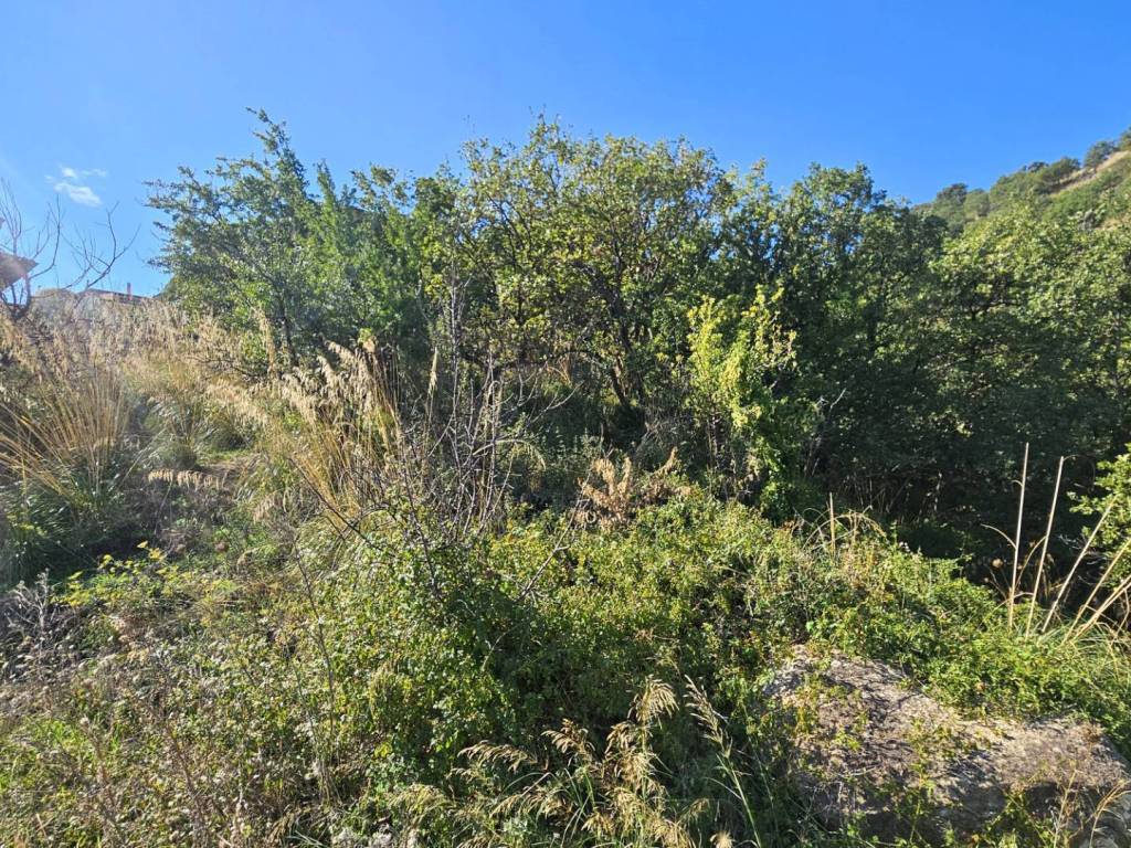 Terreno a Montepaone in Località Garigione - Foto 4